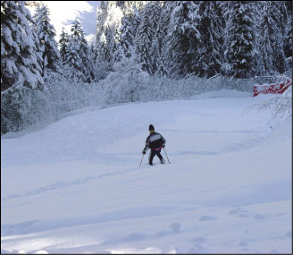 Sciatore alle prese con la Pista del Bosco