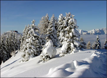 Panorama dalle Torcole