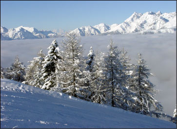 Panorama dalle Torcole