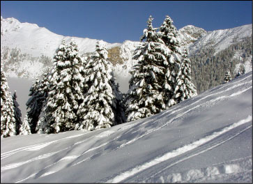 Panorama dalle Torcole