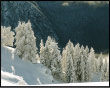 Paesaggi innevati delle Torcole