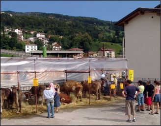 Stalla all'aperto