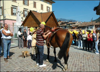 Gara di montaggio sella