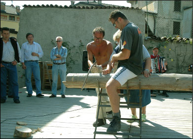 Taglio del tronco