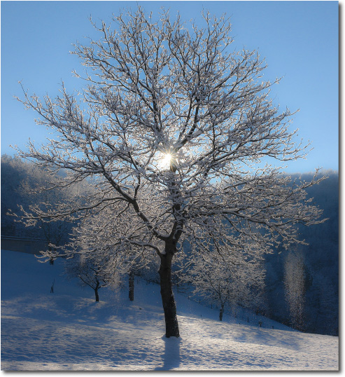 Paesaggi innevati San Giovanni Bianco