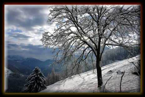 Immagini neve alta Valle Brembana