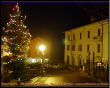 L'albero natalizio di Serina