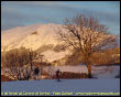 Sci di fondo al Corone di Serina - foto 2