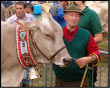 Mostra zootecnica bovina - Gallery