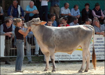 La reginetta Lola di Carrara