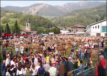 Una panoramica della Mostra zootecnica di Serina