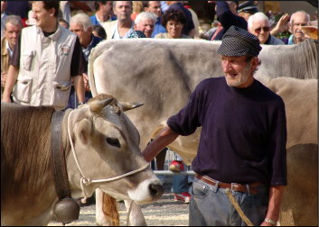 Attendendo il responso della giuria