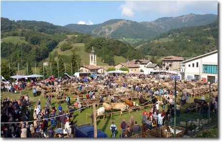 Mostra zootecnica di Razza Bruna a Serina