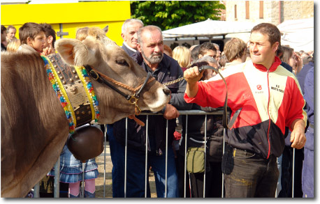 Mostra zootecnica di Razza Bruna a Serina