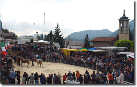 Mostra zootecnica di Razza Bruna a Serina