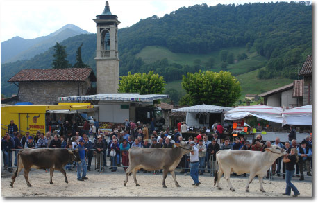 Mostra zootecnica di Razza Bruna a Serina