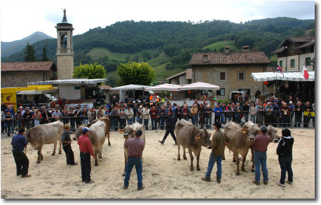 Mostra zootecnica di Razza Bruna a Serina