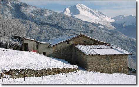 Stalle al Corone di Serina