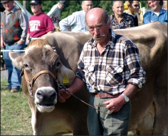 Momenti di valutazione dei bovini partecipanti alla Fiera