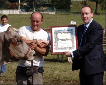 La Regina 2004 della Fiera zootecnica di Taleggio: Niki dell'Azienda Agricola Locatelli Guglielmo di Vedeseta