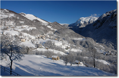 Grasso di Taleggio