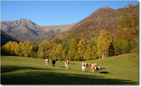 Colori dell'Autunno in Valle Taleggio
