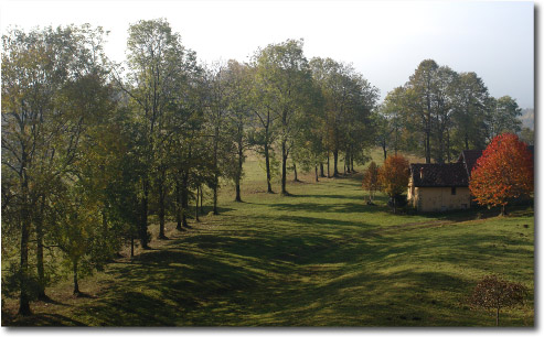 Colori dell'Autunno in Valle Taleggio