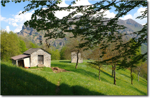 Borghi di Pizzino - Taleggio