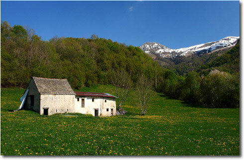 Borghi di Pizzino - Taleggio