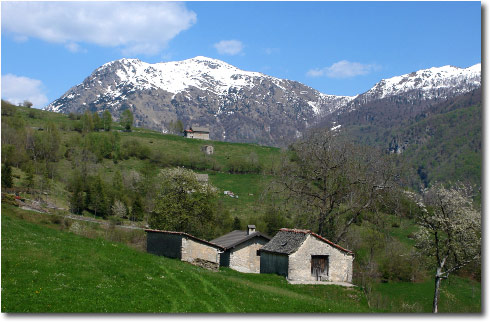 Borghi di Pizzino - Taleggio