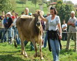 Fiera Bovina della Valle Taleggio