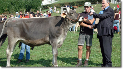 La migliore mammella premiata dall'Assessore della Comunit Montana Damiano Orfeo