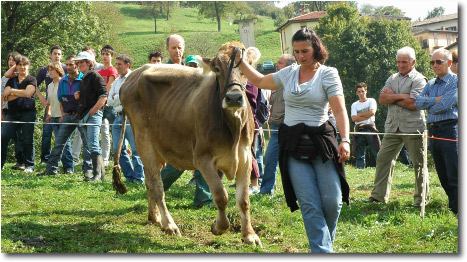 La Reginetta della Mostra zootecnica di Taleggio edizione 2009