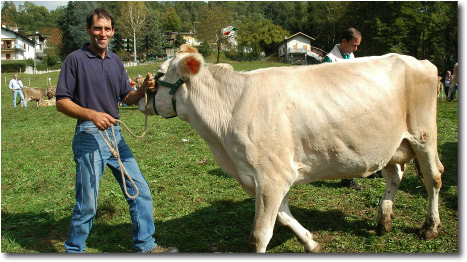 Fiera Bovina della Val Taleggio