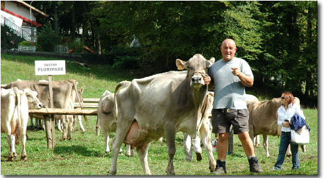 Fiera Bovina della Val Taleggio