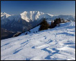 Toracchio