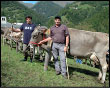 59^ Mostra Bovina La Regina