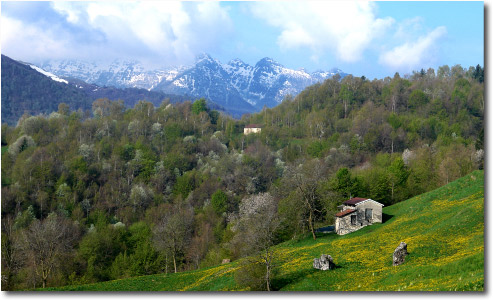 Prati in fiore nei pressi di Reggetto