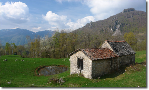 Caratteristico tetto in pide