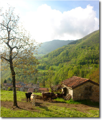 Lavina di Vedeseta - Valle Taleggio