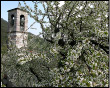 Primavera a San Mauro