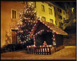 Albero e Presepe in piazzetta