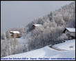 Miragolo San Salvatore (invernale)